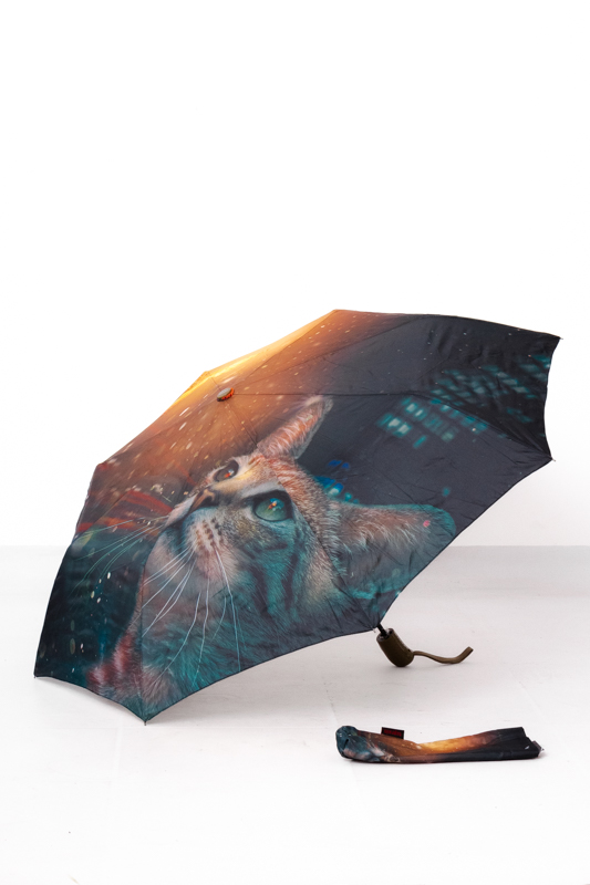 Парасолька (напівавтомат)